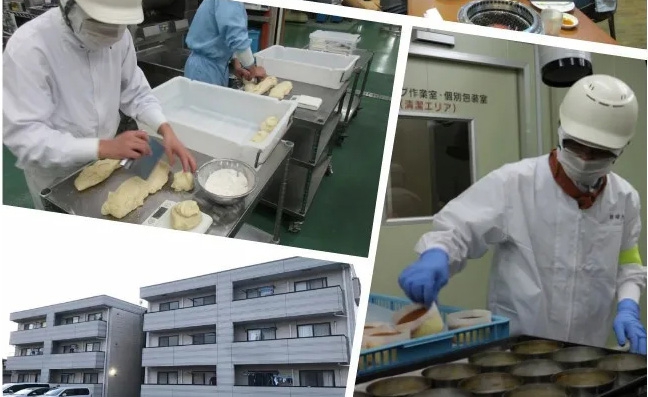 日本2020年8月新單匯總!